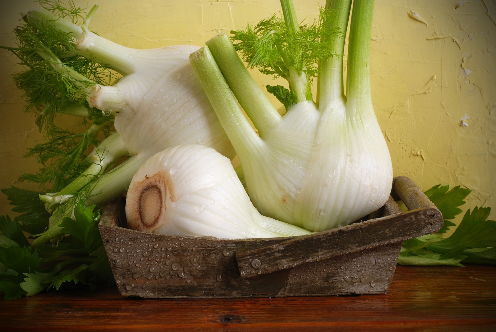 Gefüllter Fenchel mit Räucherlachs - Landgemachtes