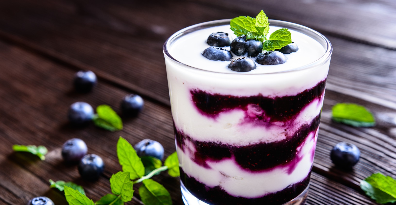 Joghurtcreme mit Heidelbeeren - Landgemachtes