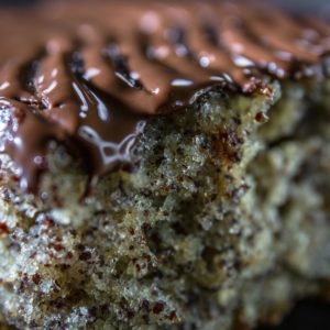 Mohnkuchen_Landgemachtes-102 Mohnkuchen