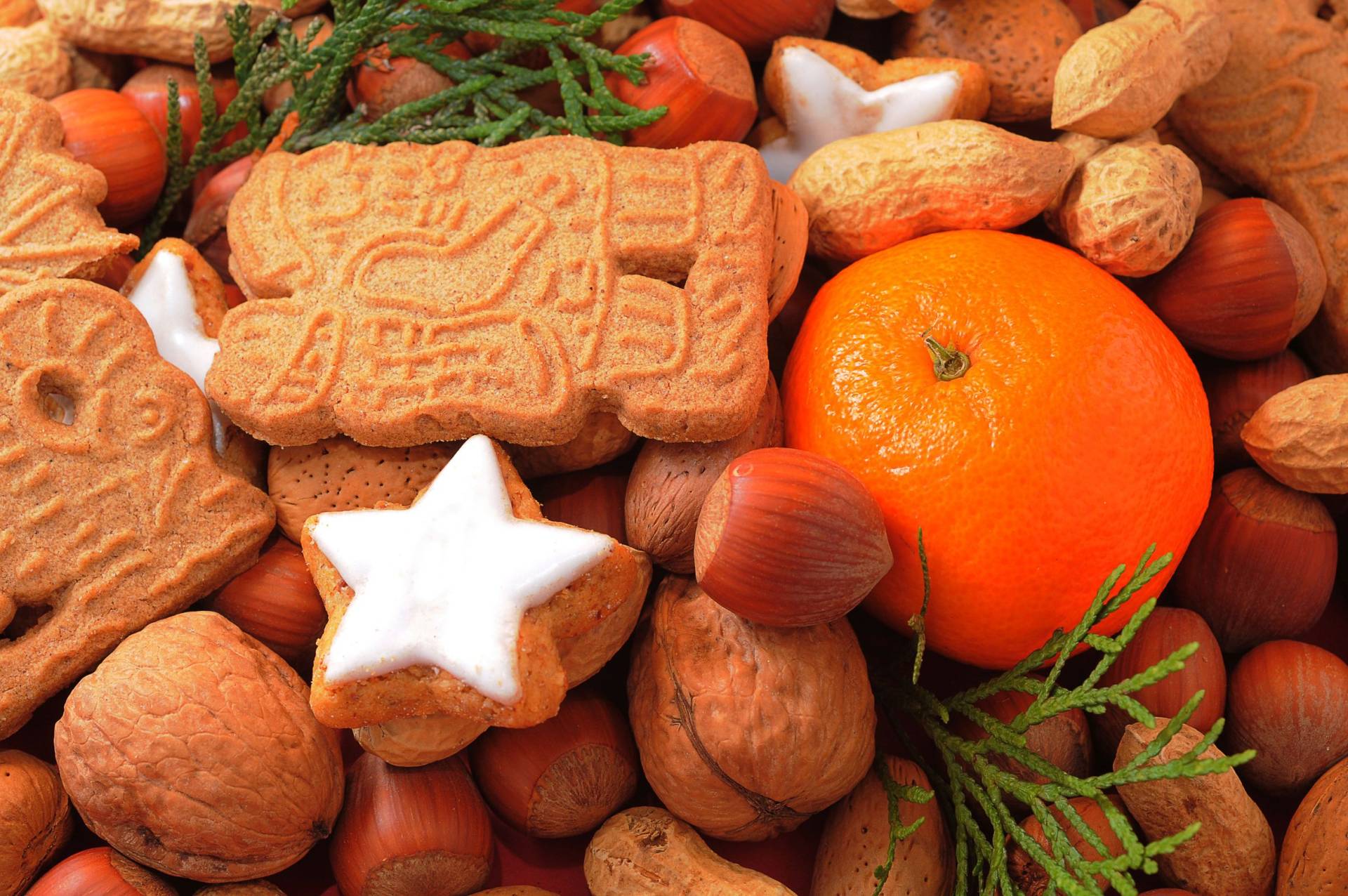 Mandarinen-Quark mit Spekulatius - Landgemachtes