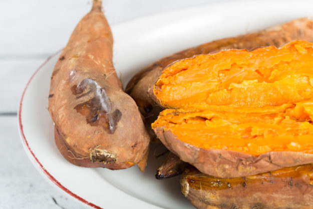 Sweet potatoes season