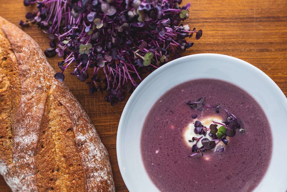 Rotkohlsuppe mit Meerrettichsahne - Landgemachtes