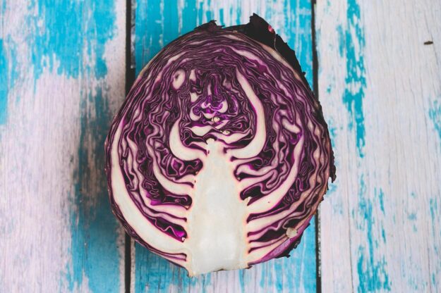cabbage-6713109_1280_pixabay Rotkohlsuppe mit Orange und Frischkäse
