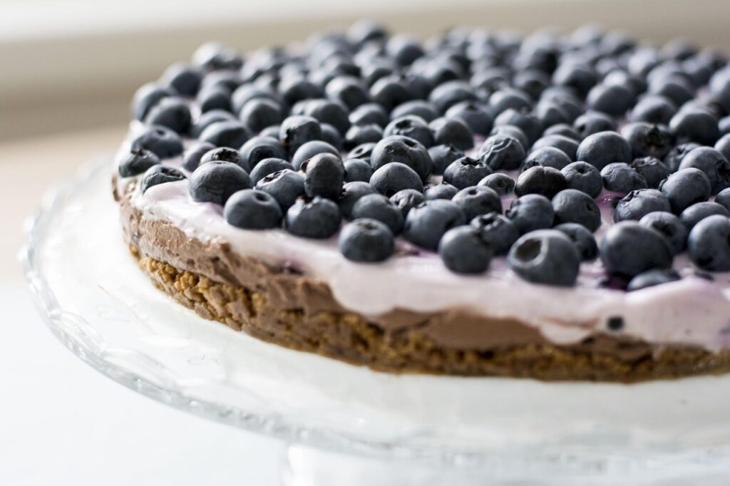 Heidelbeer-Joghurt-Torte (ohne Backen)